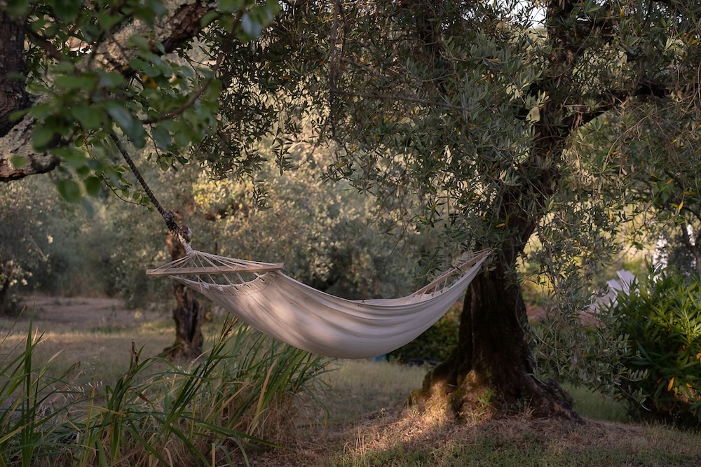 Agriturismo La Romagnana, Pistoia